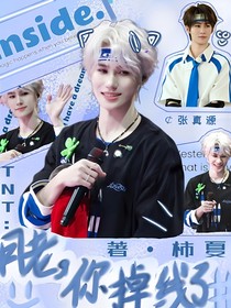 TNT：月老，你掉线了