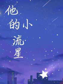 他的小流星
