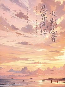 火影忍者：忍界風(fēng)華錄