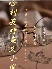 哈利波特杂文小说