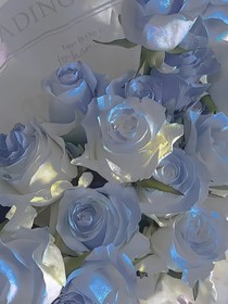 初桃（oc聯(lián)動存檔）-d816