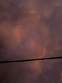 沾衣欲濕杏花雨吹面不寒楊柳風(fēng)