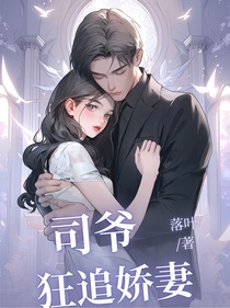 司爷：狂追娇妻