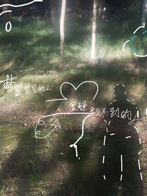 醒来不见的梦