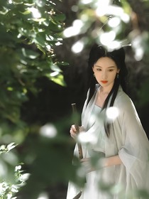 综影：为你一笑见轮回甘堕