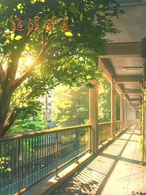 追随盛夏