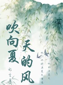 吹向夏天的风