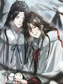 穿越魔道，成为魏婴他姐