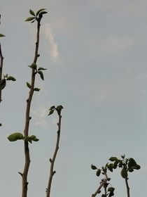 我在南德那些事（南京德云社哟）