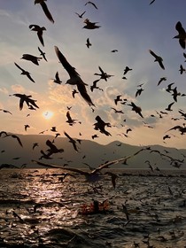 量子力學(xué)之林浩