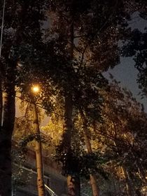 在秦究第一次被驱出系统，失忆回来后