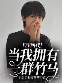 TF四代：当我拥有一群竹马