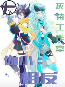 灰特工作室—伽小：相反