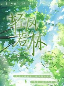 轻风若林
