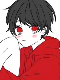 寶可夢：熾燃與火焰蜥王