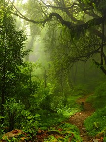 余林