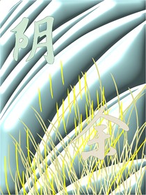阴余