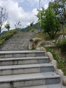 詭逆
