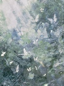 绪兰