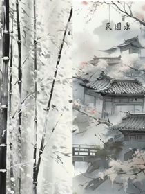 民国……录