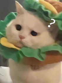 弃书不用看啦