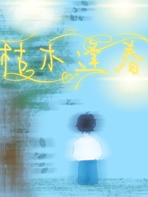 透光的裂縫