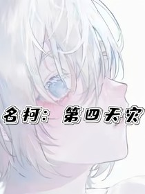 名柯：第四天灾