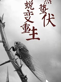 秋蝉之溯洄