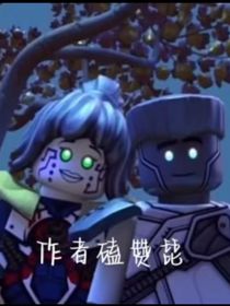 赞琵
