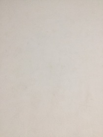 同混歷喵的交個朋友吧