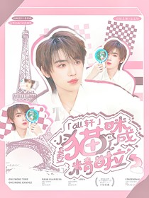 all軒：小貓咪成精啦