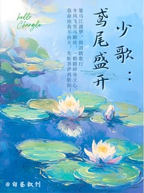 少歌：鸢尾盛开