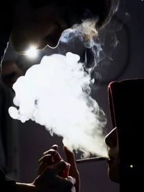 太阳和树