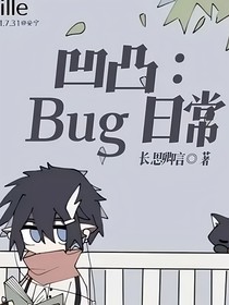 凹凸：Bug日常