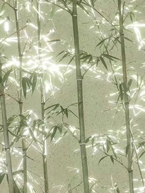 穿越修仙文了