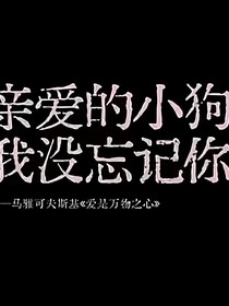 暗恋你我不后悔