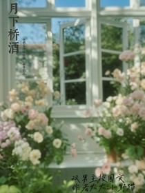 月桥夏酒