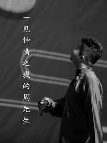 一见钟情之我的周先生