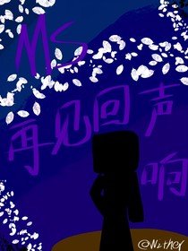 MS——再见回声响