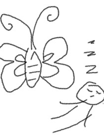 综梦蝶