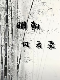 明朝风云录