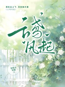 云鸢风起