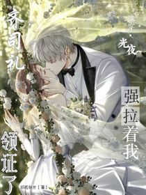 魂穿光夜：齐司礼强拉着我领证了