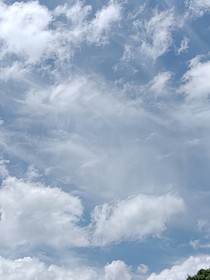 少年時(shí)的那些快樂(lè)時(shí)光第一章