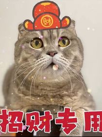 逃出惊魂夜之历喵