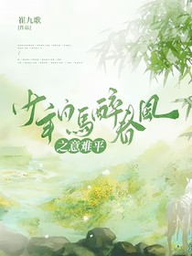 少年白马醉春风之意难平