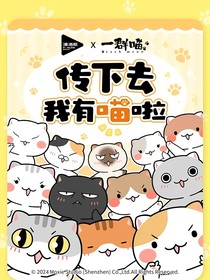 喵咪們的快樂(lè)時(shí)光