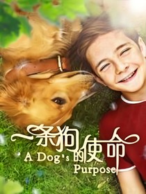 一條狗的使命1