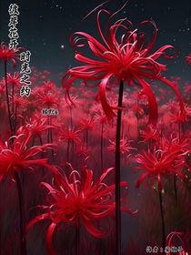 彼岸花開(kāi)：時(shí)光之約