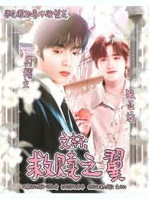 文轩：救赎之翼